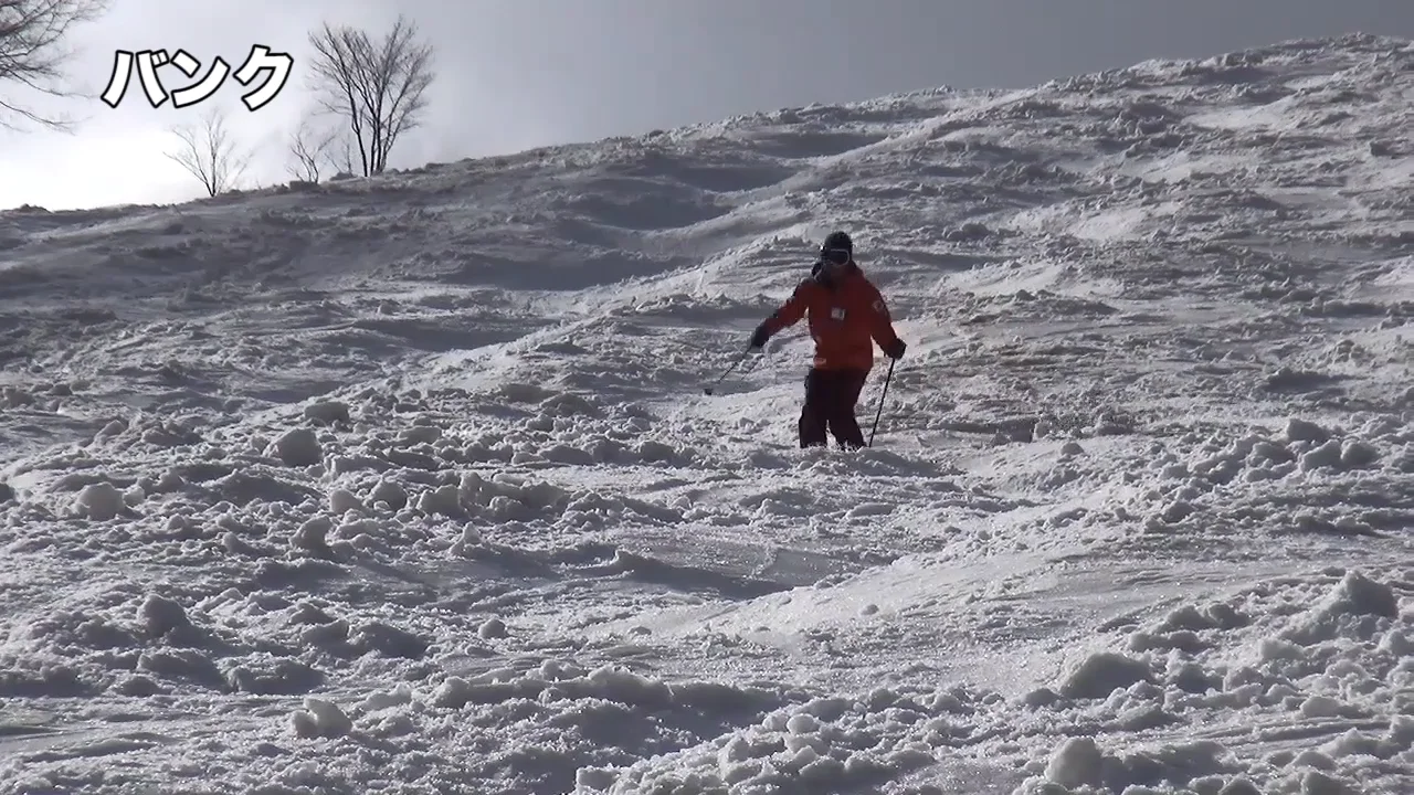 スキー　高橋正二のはじめてのコブレッスン　DVD 5本セット 高橋正二のはじめてのコブ全5本セット - ダイレクトライン出版