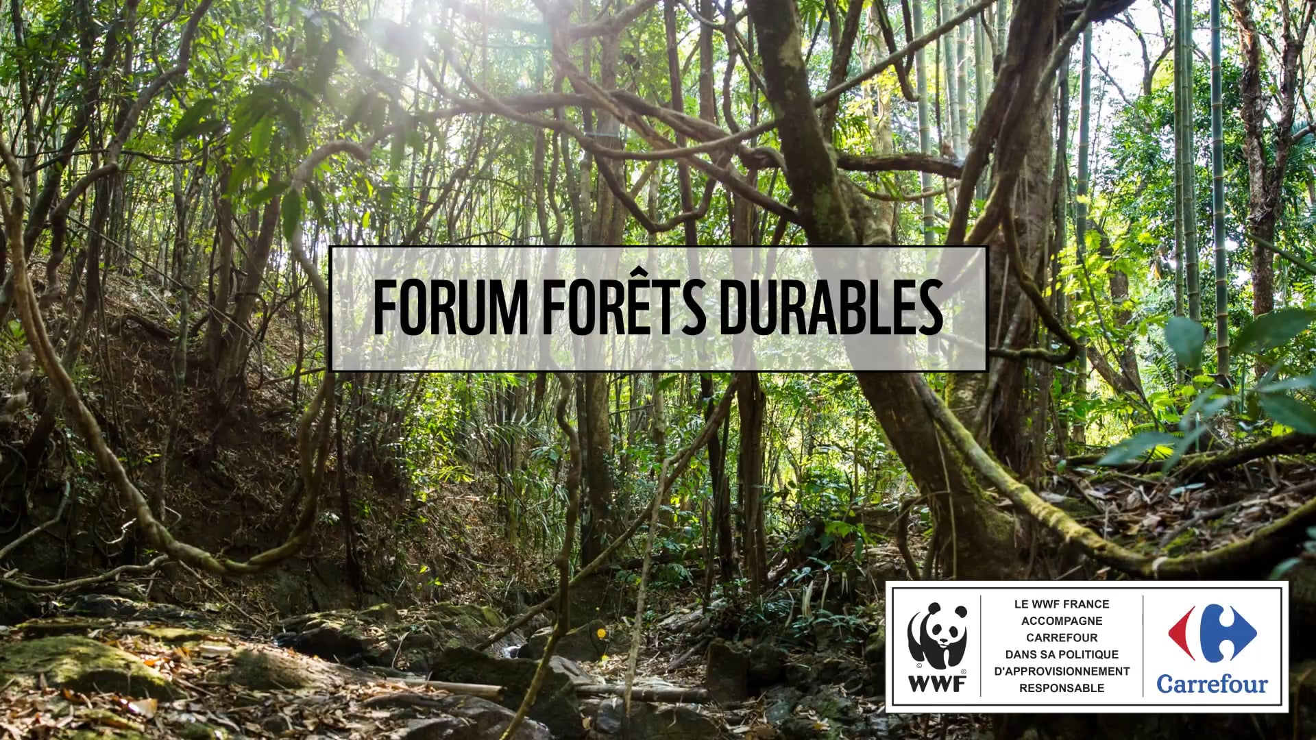 FORUM FORÊTS DURABLES / DIMSON / WWF / CARREFOUR