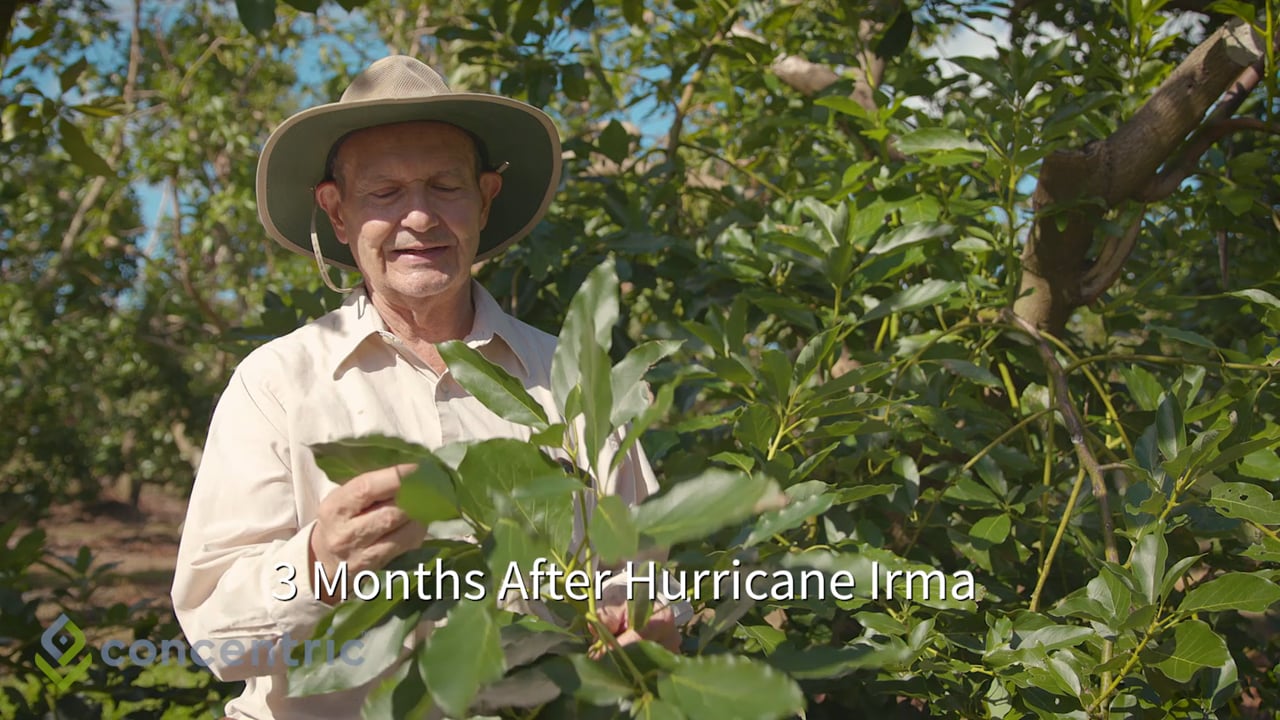 Concentric at DLT Farms: Part 1