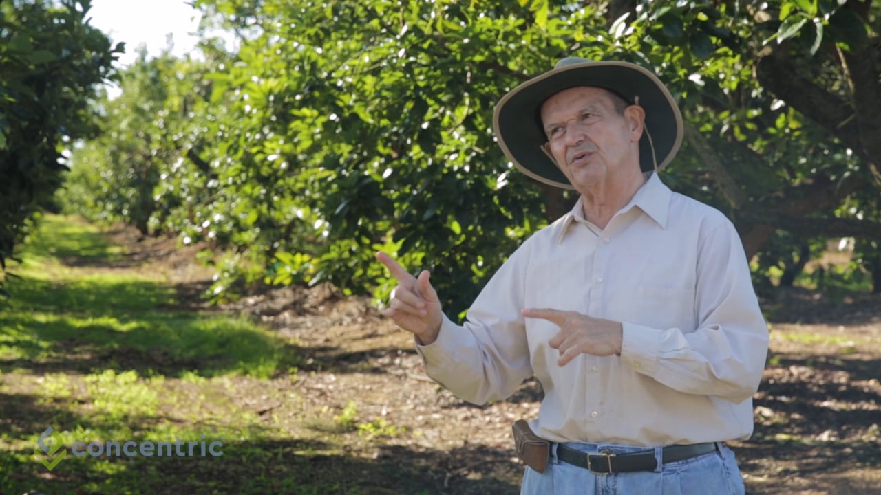Concentric at DLT Farms: Part II