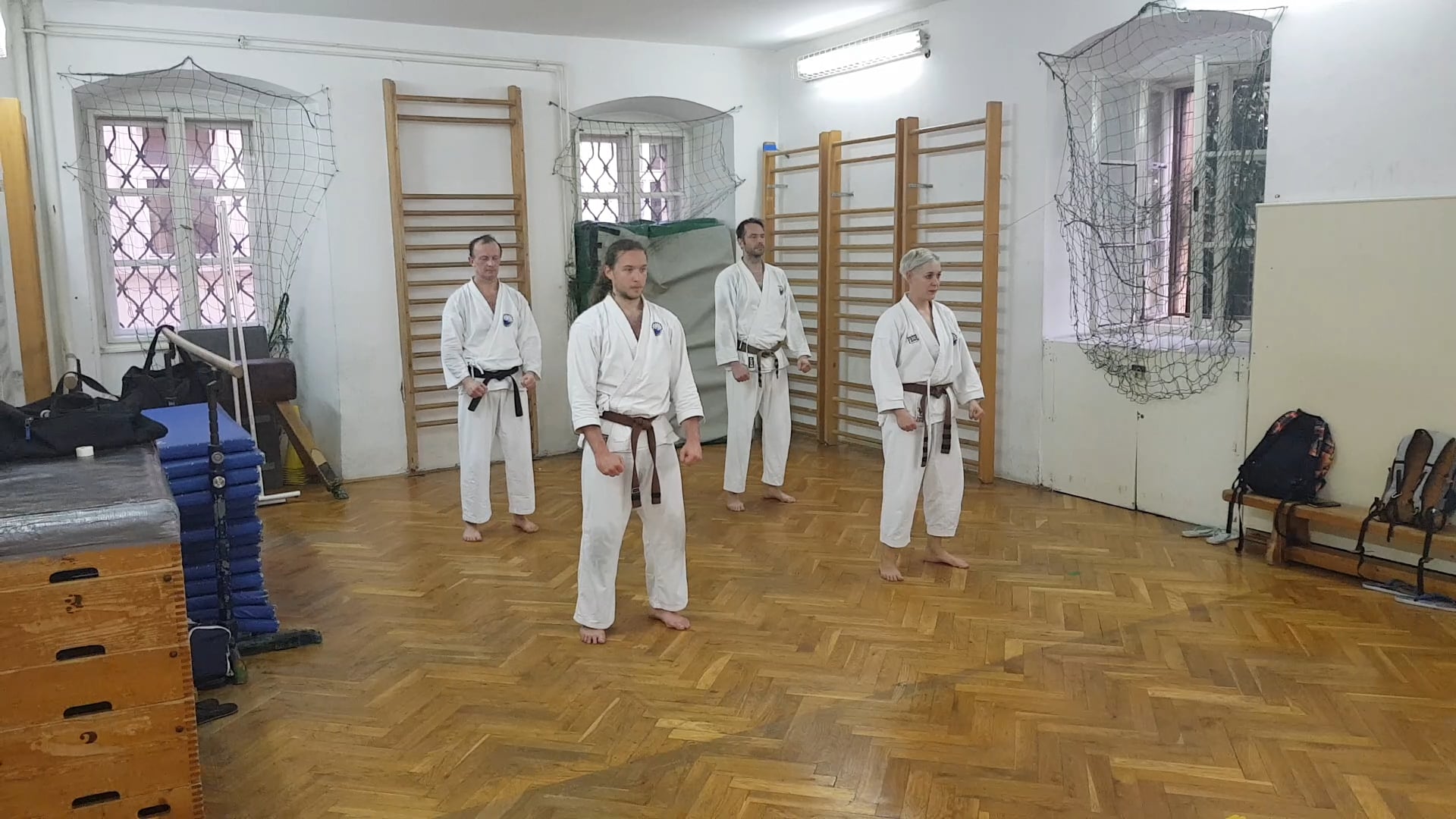 Saifa - napredna Kempo kata