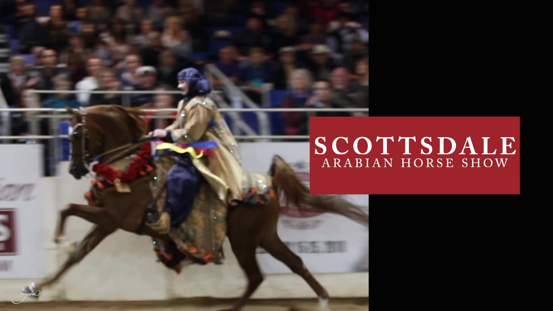 Scottsdale Arabian Horse Show 2018