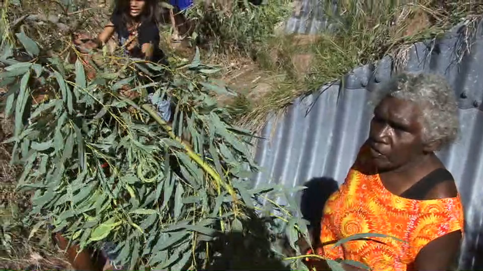 Bilirnji - River Gum