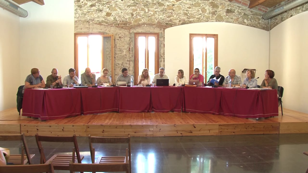 Ple municipal 31 de maig de 2018 - Punt 02