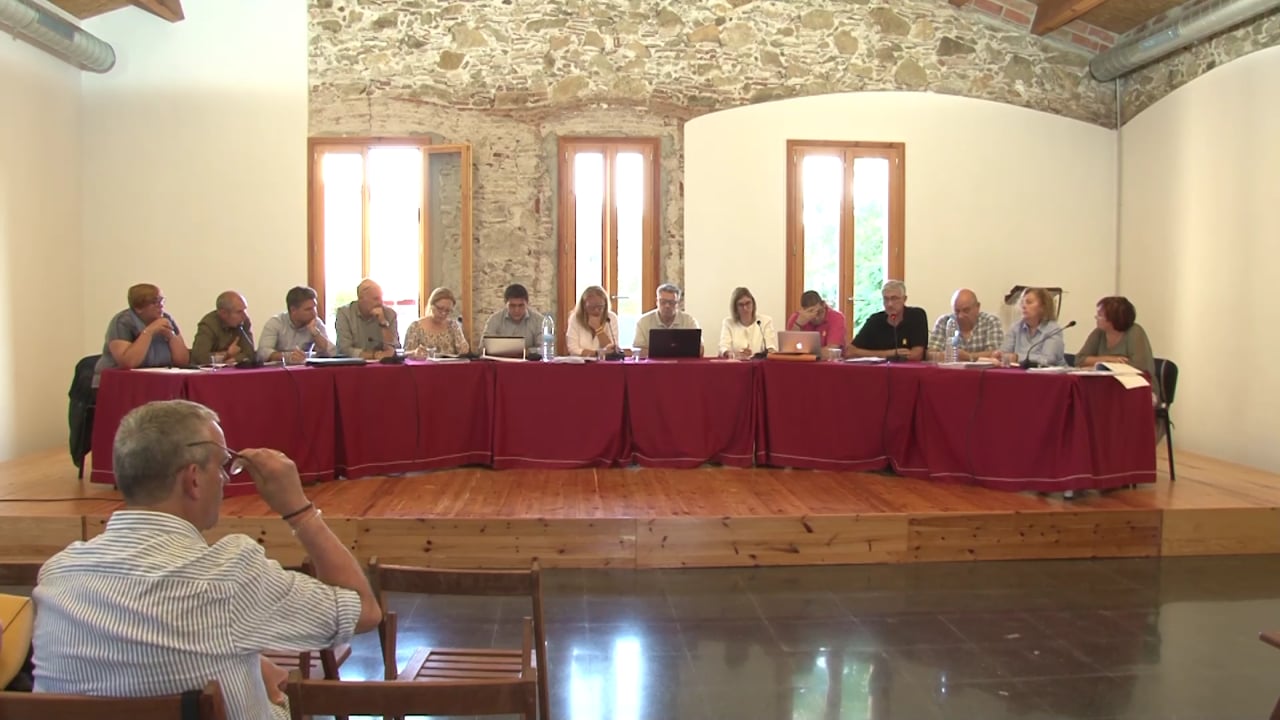 Ple municipal 31 de maig de 2018 - Punt 03