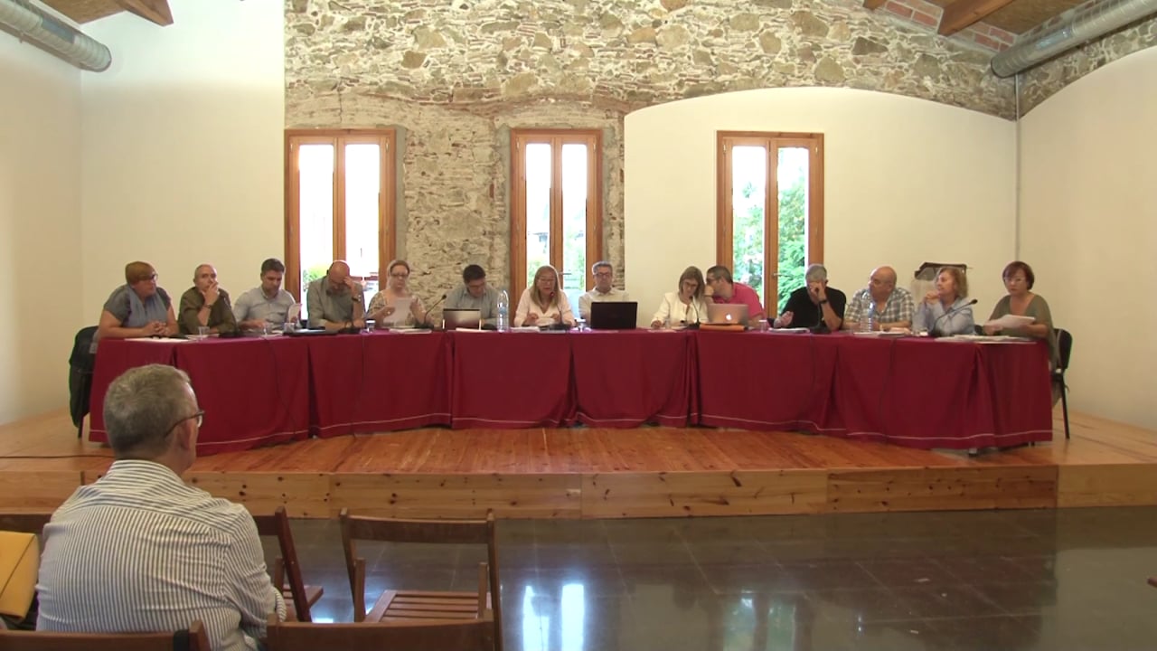 Ple municipal 31 de maig de 2018 - Punt 04