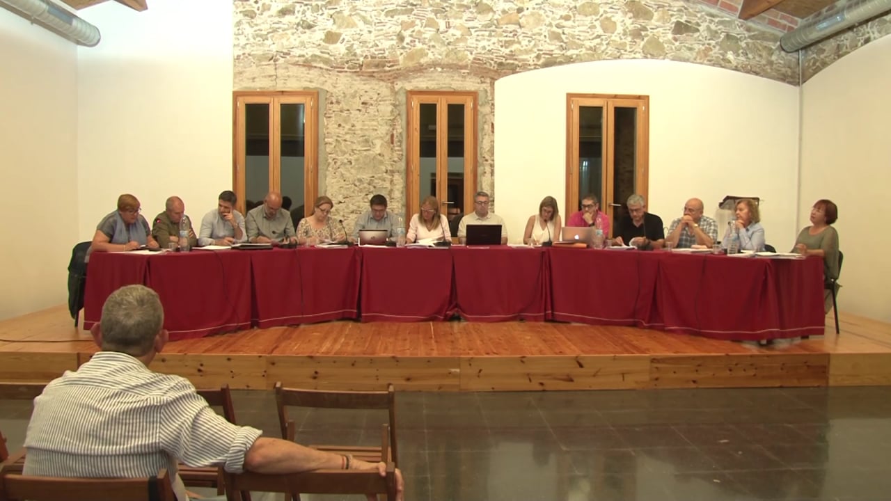 Ple municipal 31 de maig de 2018 - Punt 012