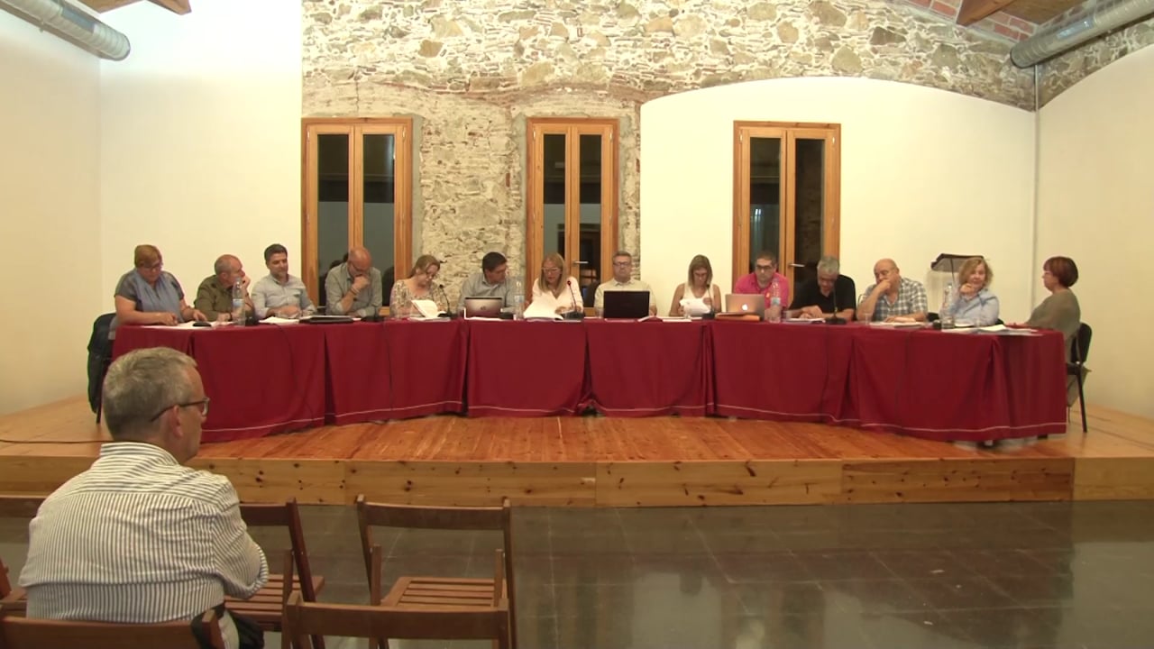 Ple municipal 31 de maig de 2018 - Punt 013
