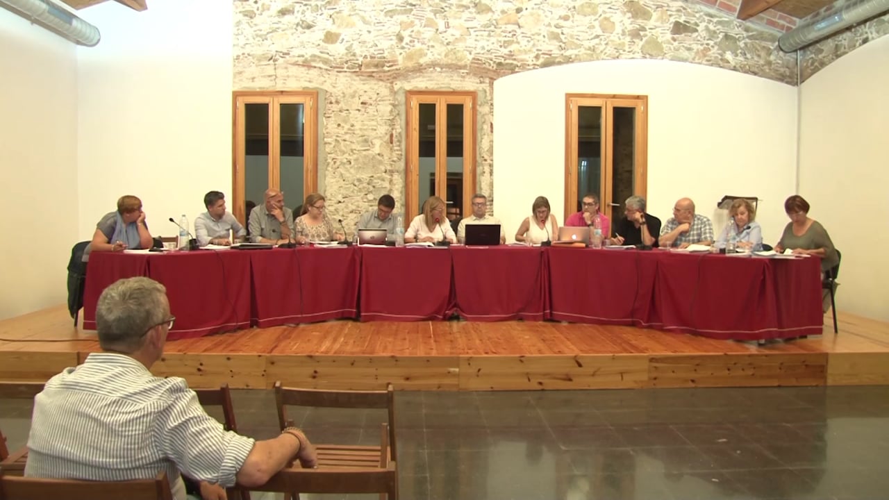Ple municipal 31 de maig de 2018 - Punt 014