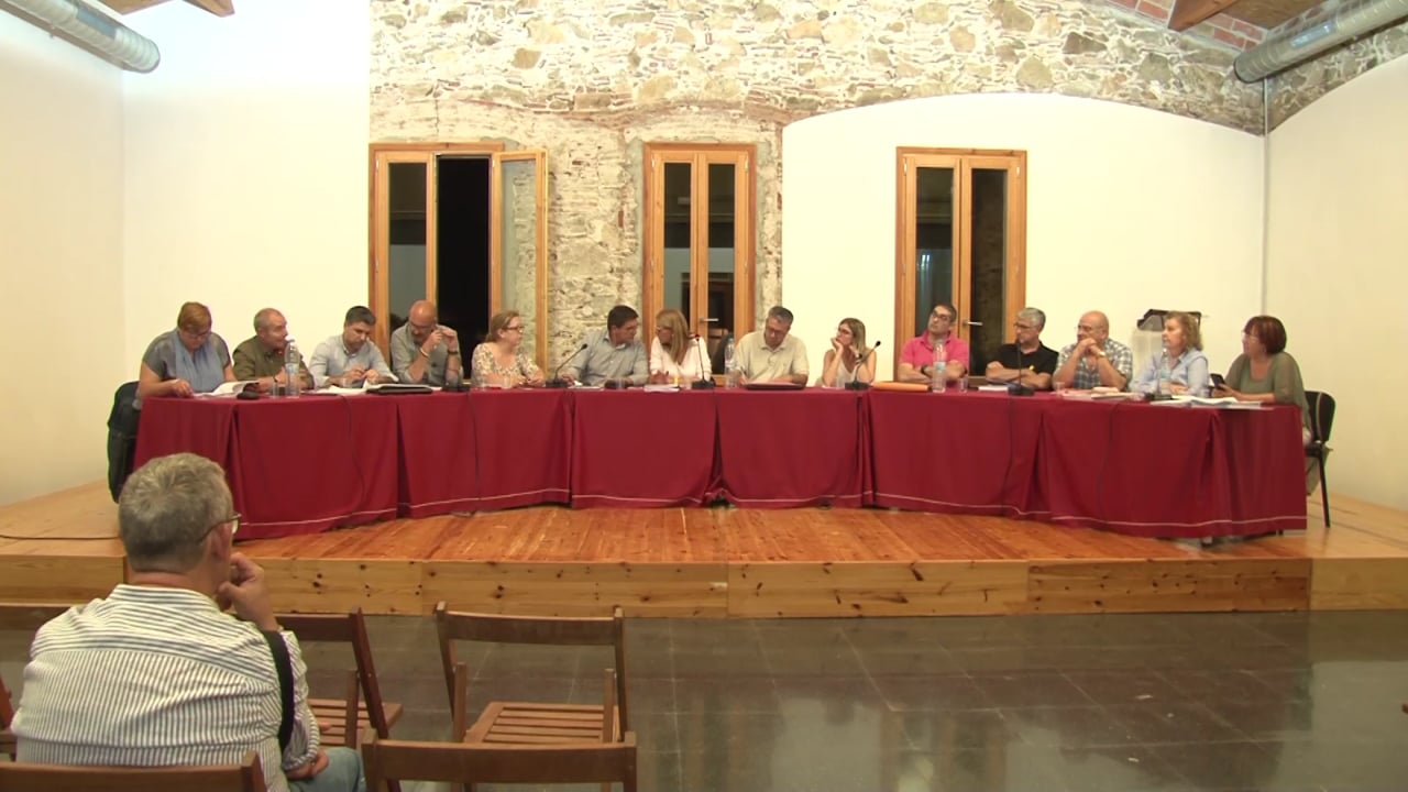 Ple municipal 31 de maig de 2018 - Punt 015