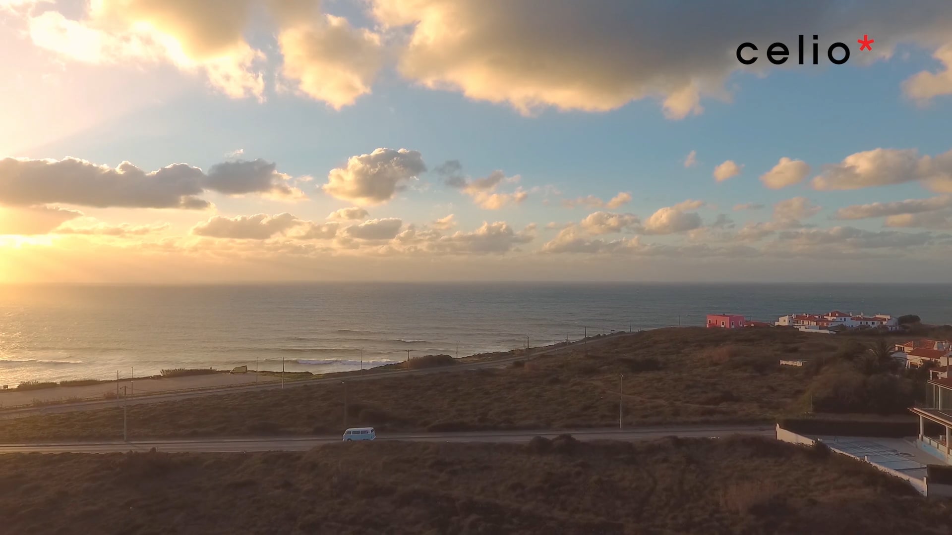 CELIO - DISTRESSED DENIMS