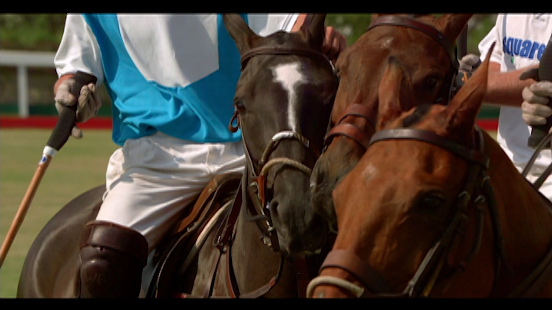Of Kings & Cowboys Trailer