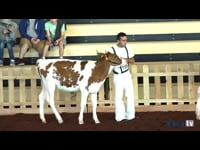 Terneras de 6 a 8 meses