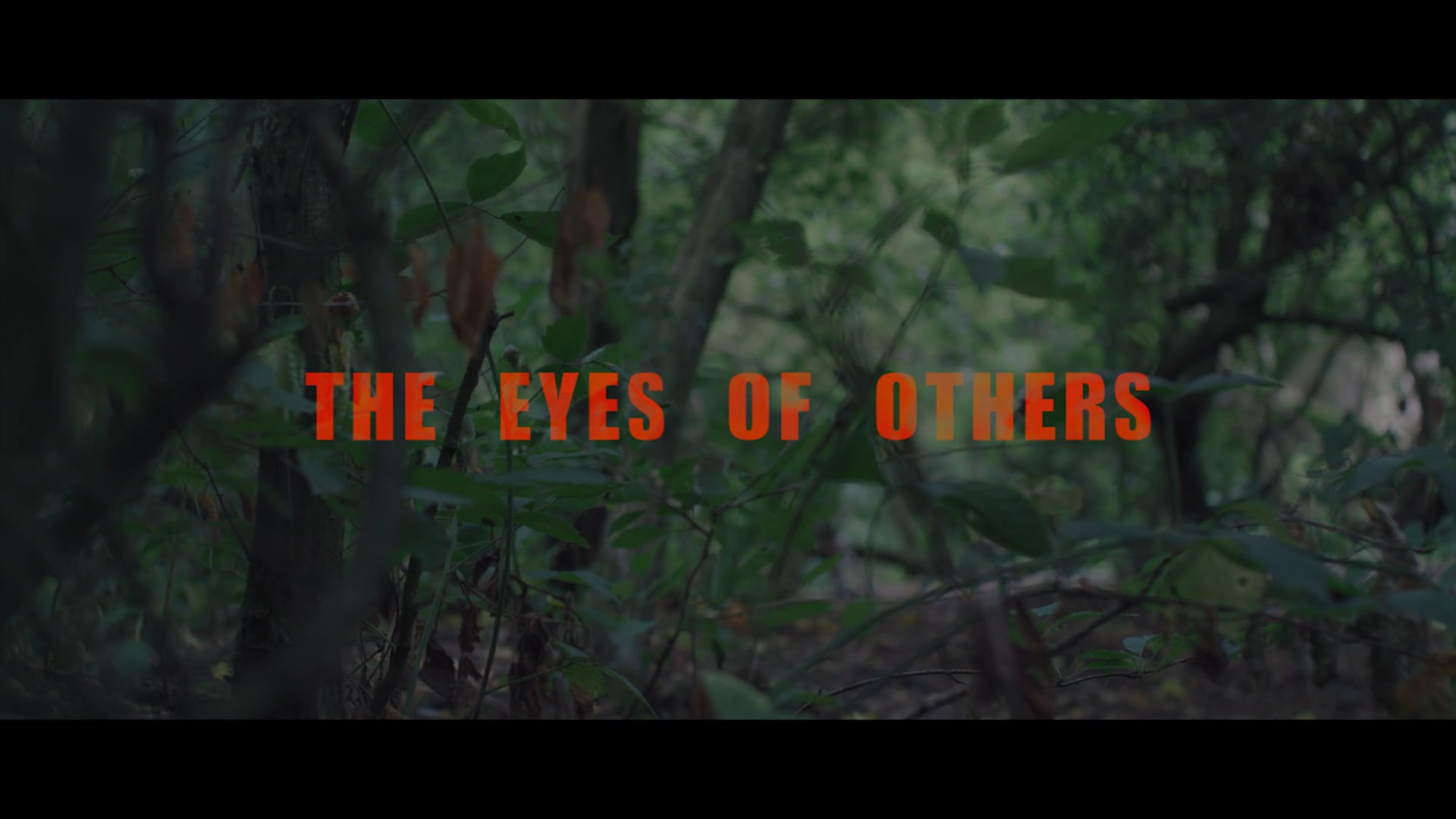 The Eye of the others