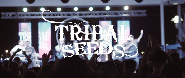 Tribal Seeds Concert (2017) | Highlights