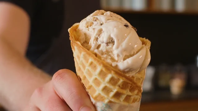 mooncrew jobs - Molly Moon's Homemade Ice Cream