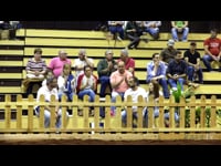 Novillas de 14 a 17 meses