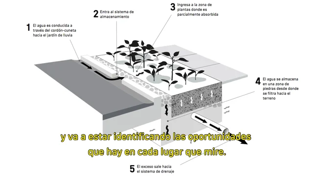 diagrama de jardín de lluvia