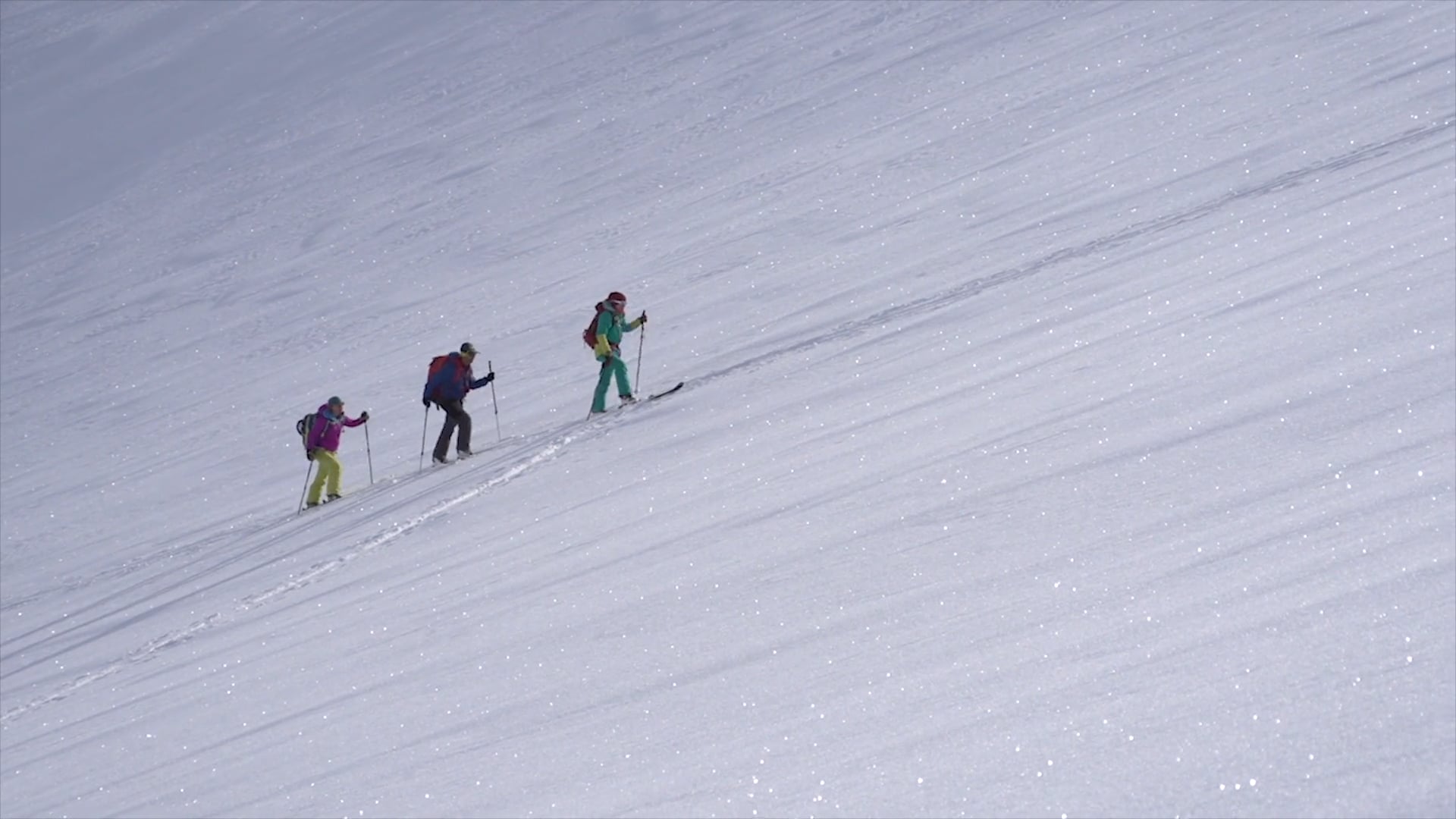 Wild Women of Winter