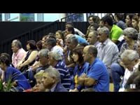 Vacas de 3 años júnior