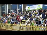 Vacas de 3 años sénior