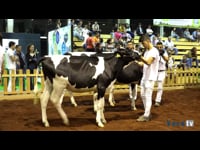 Mejor conjunto joven