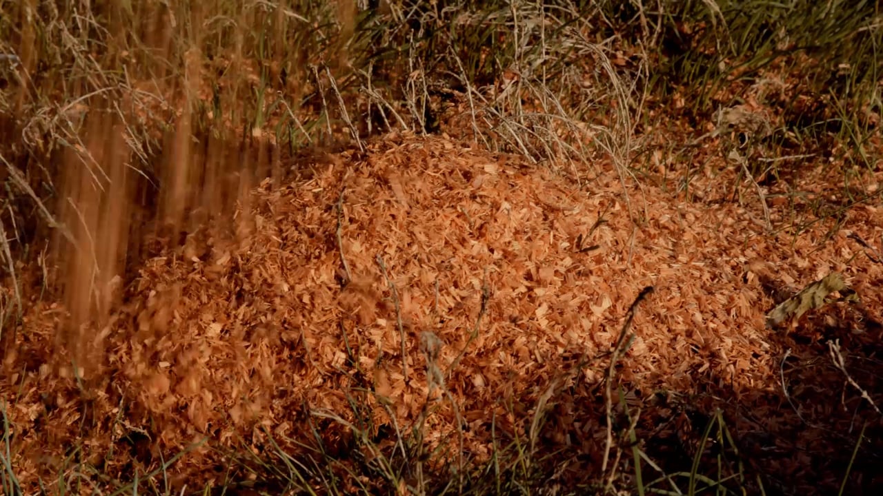 CONSTRUCTION - Bighouse Construction