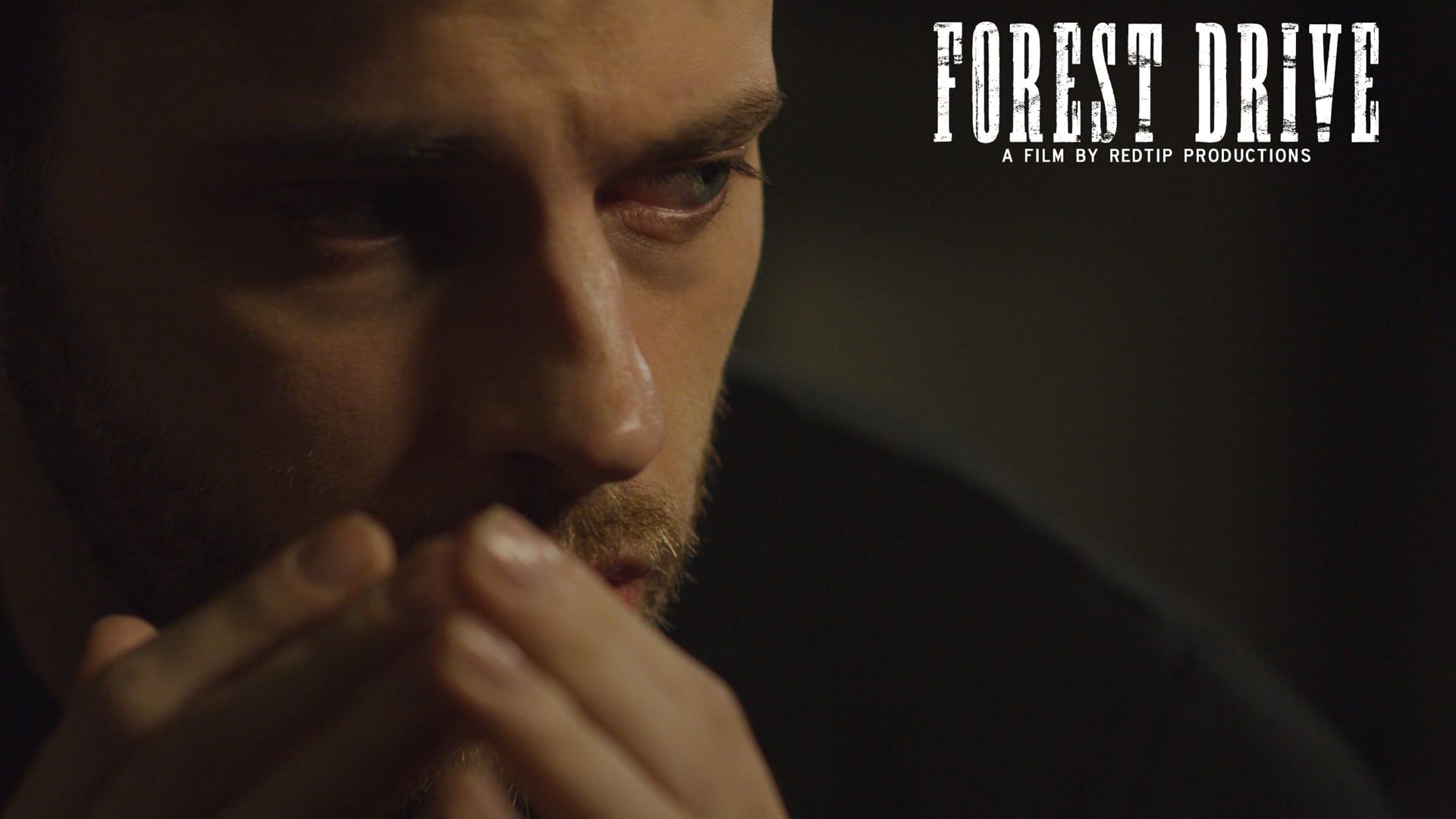 Forest Drive (Short Film)