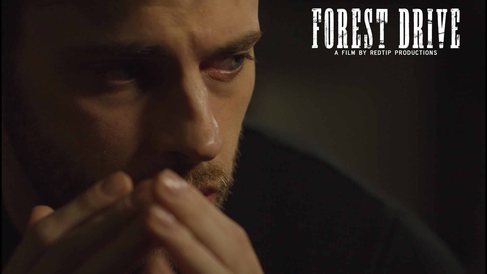 Forest Drive (Short Film)