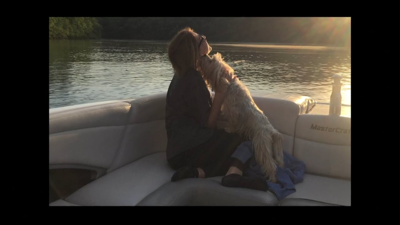 Energy Institute of AlabamaDock Electrical Safety PSACarmen on Vimeo