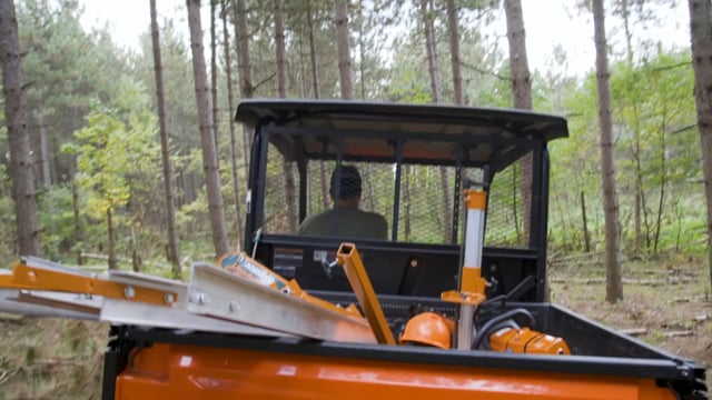 What You Need to Chainsaw Your Own Lumber