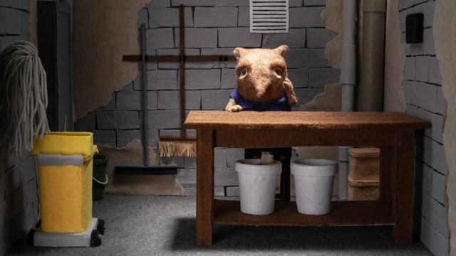 Shrew video thumbnail