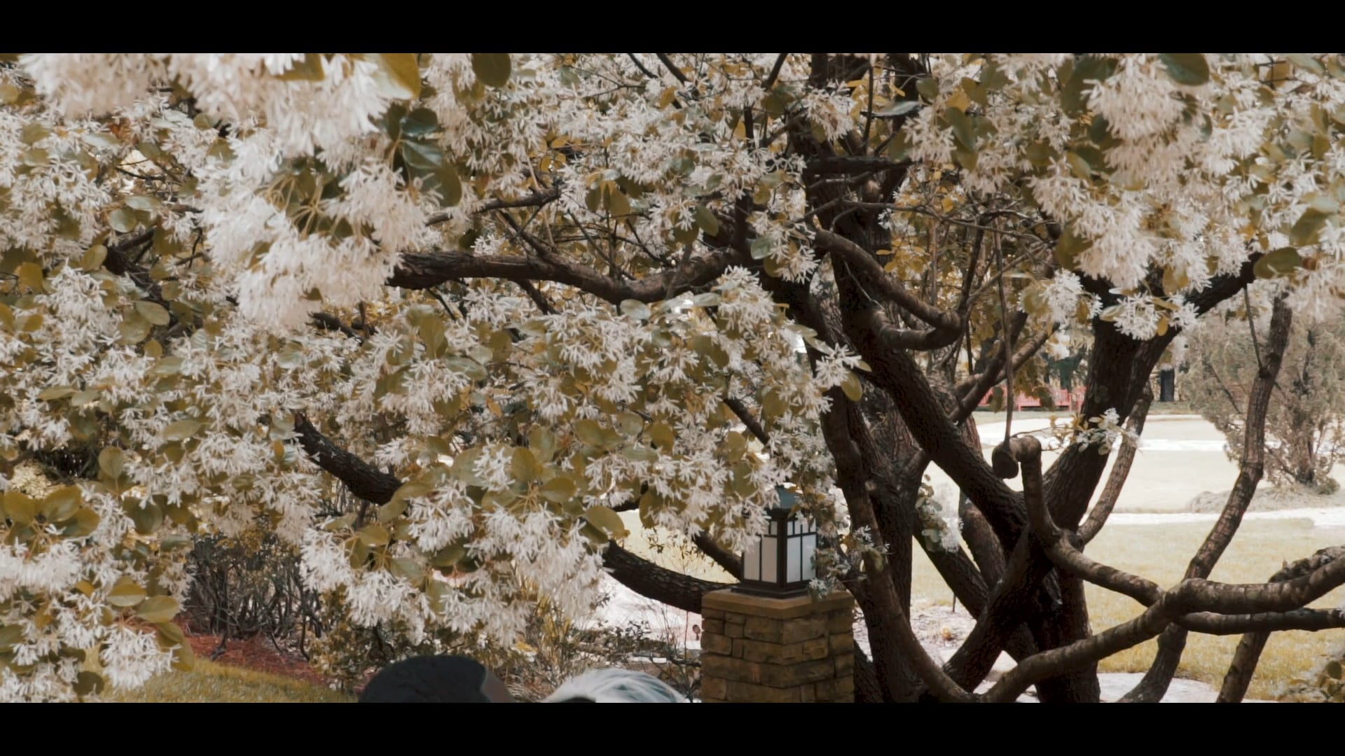 Promotional video thumbnail 3 for Bad Aster Films
