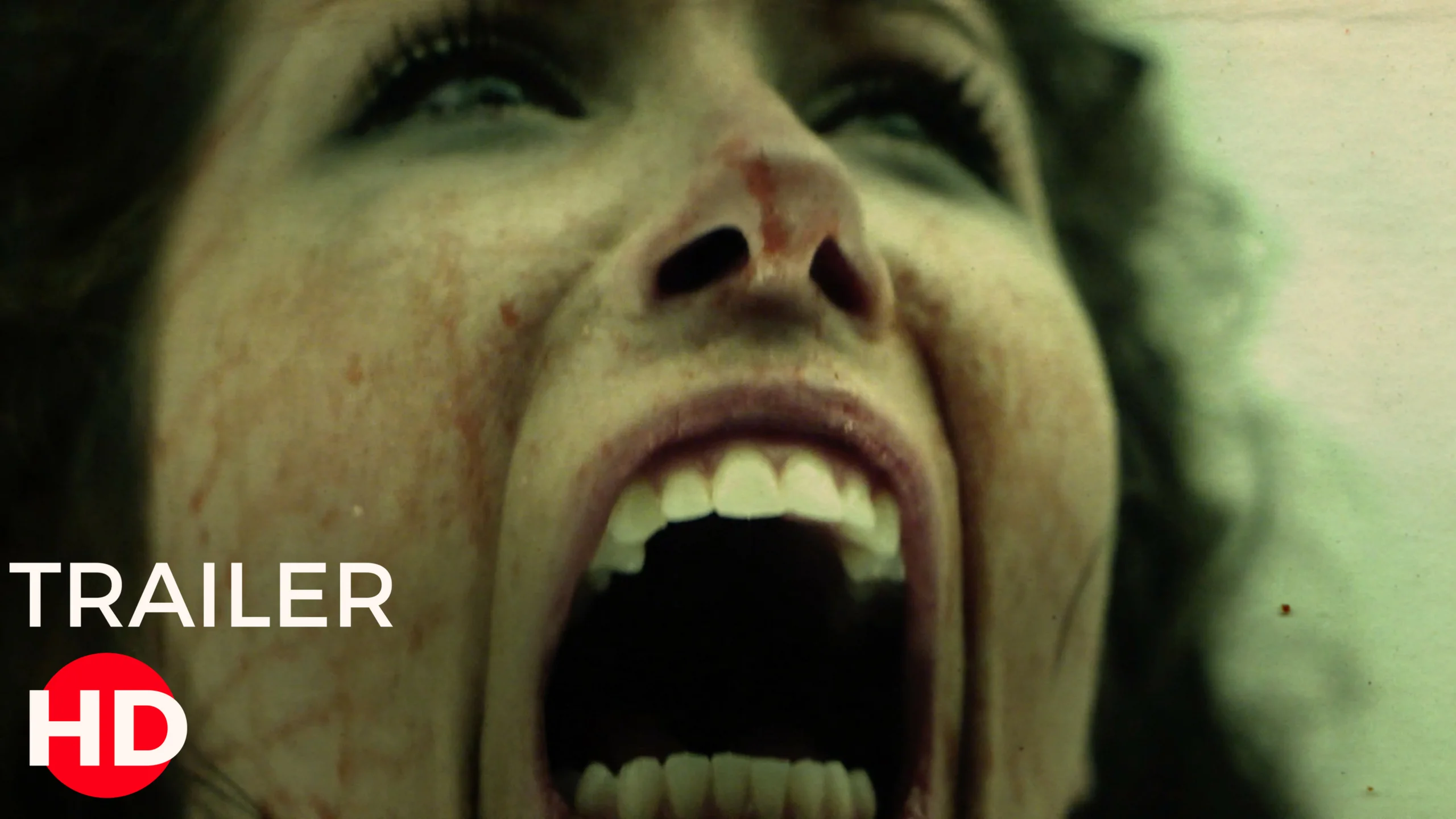 Watch Rave Party Massacre Online |   On Demand  