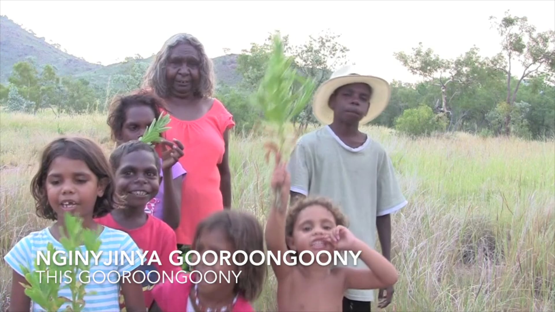 Goowoolem Jadagen - Wet Season Plants