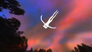 Way To Go - Customer Success Story