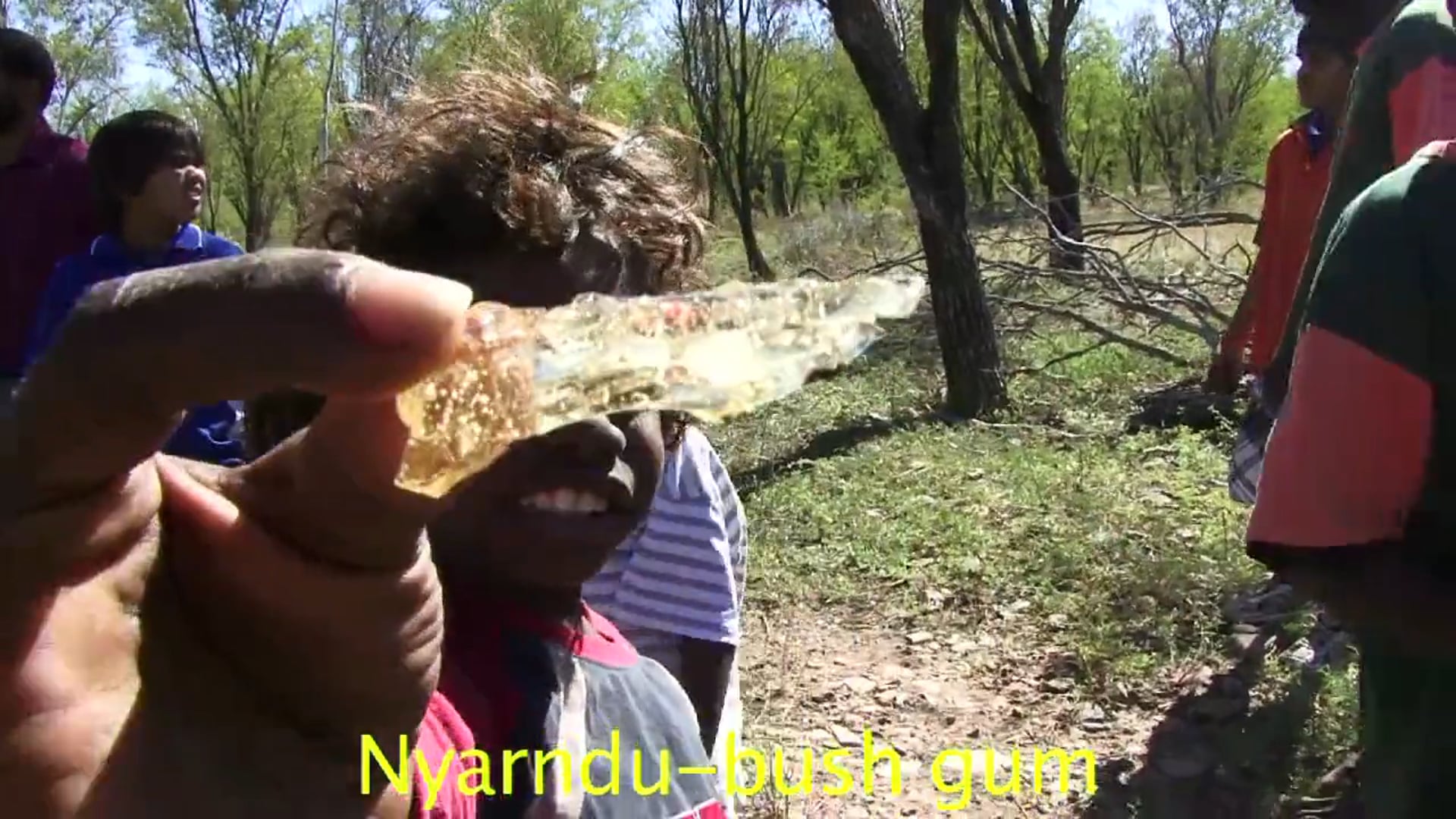 Nyarndoo - Bush Bubblegum