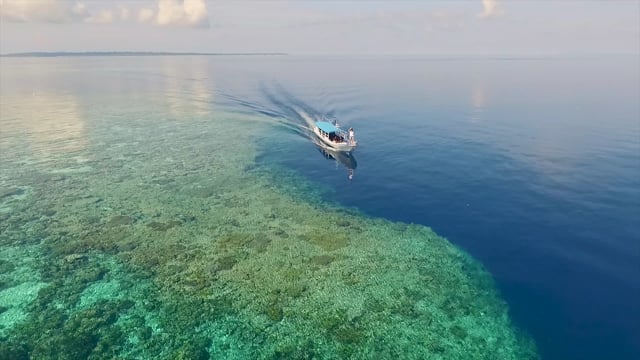 Sea, Sulawesi, Ocean. Free Stock Video - Pixabay