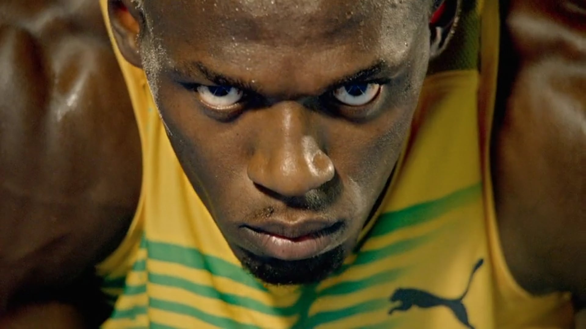 Gatorade Olympics - Qemists Scores