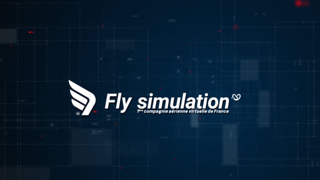 FLY SIMULATION on Vimeo