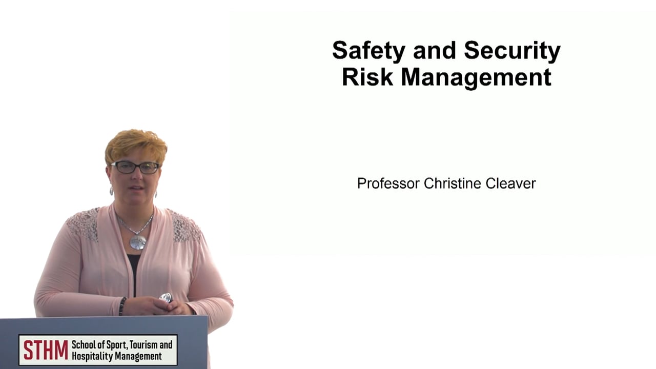 Safety and Security Risk Management