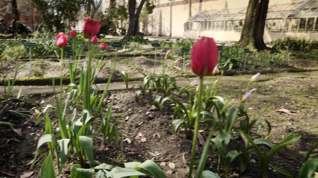 Le stanze del Giardino