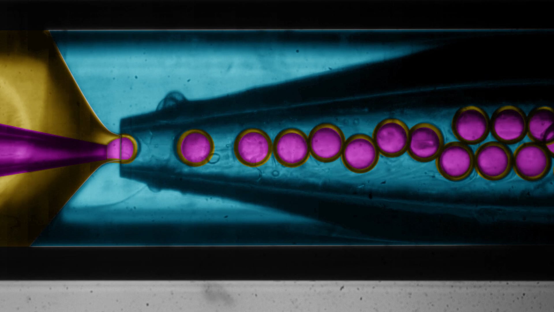 microfluidic microdroplet formulation