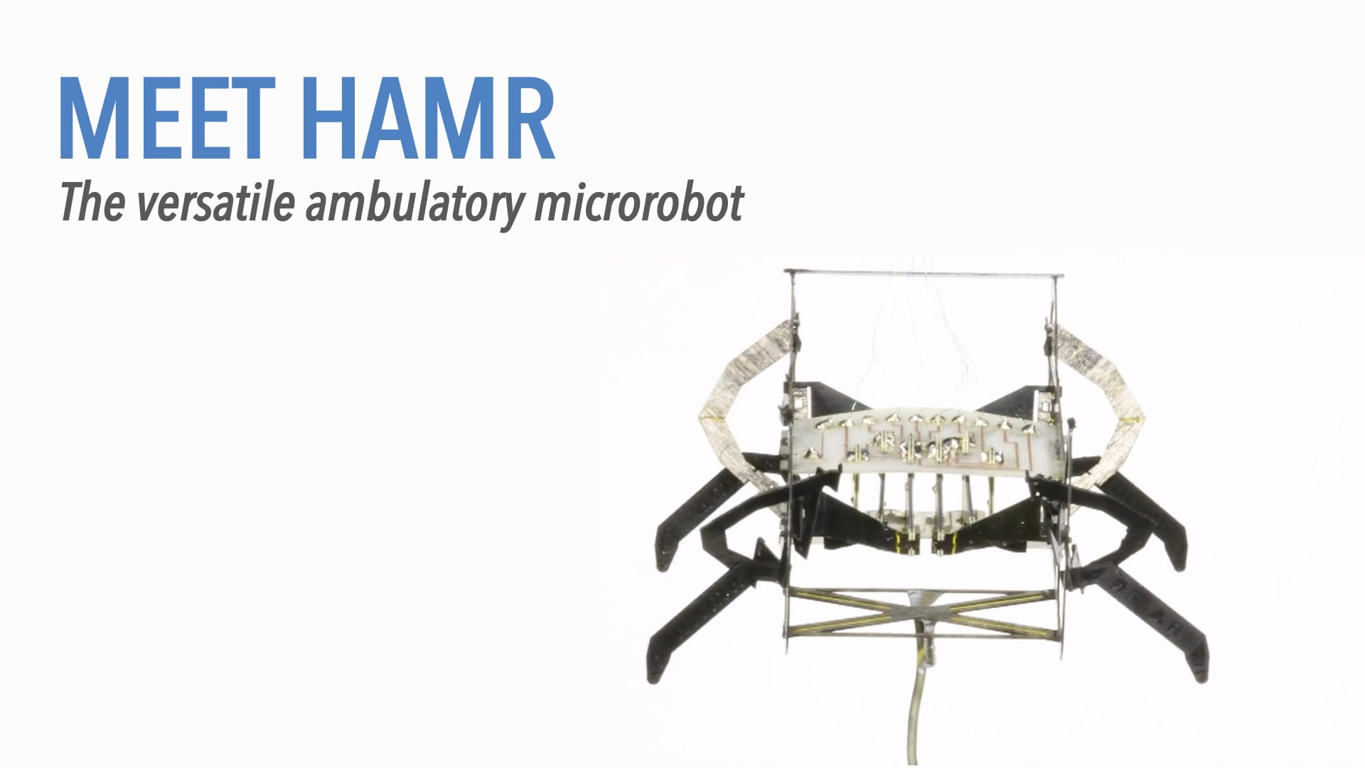 Meet HAMR: The versatile ambulatory microrobot