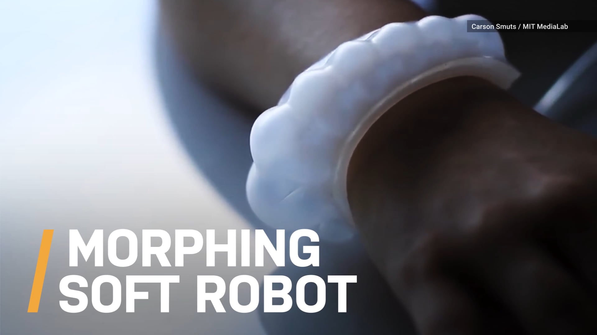 AmazeLab: ALIEN MATERIAL