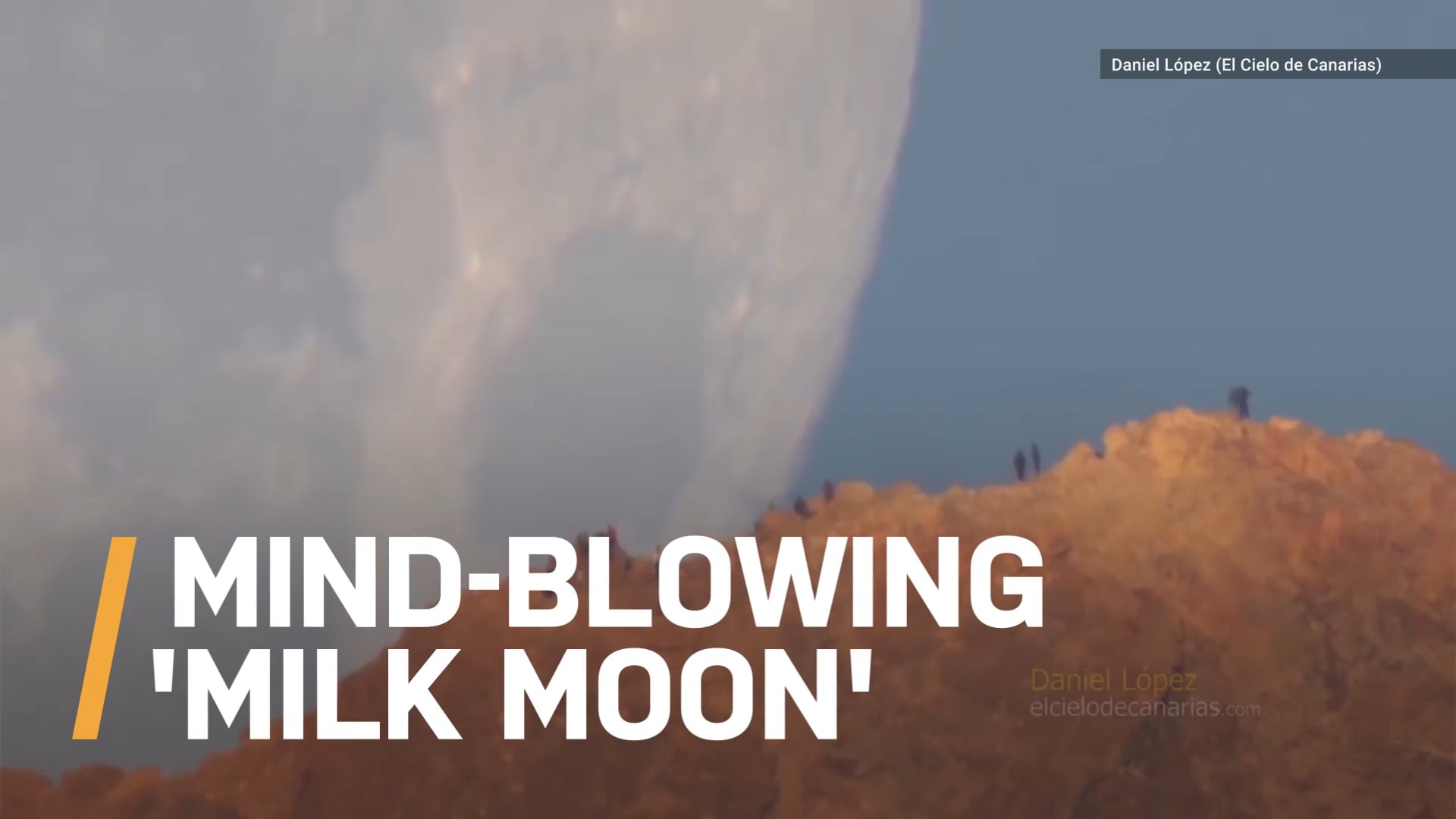 AmazeLab: MILK MOON