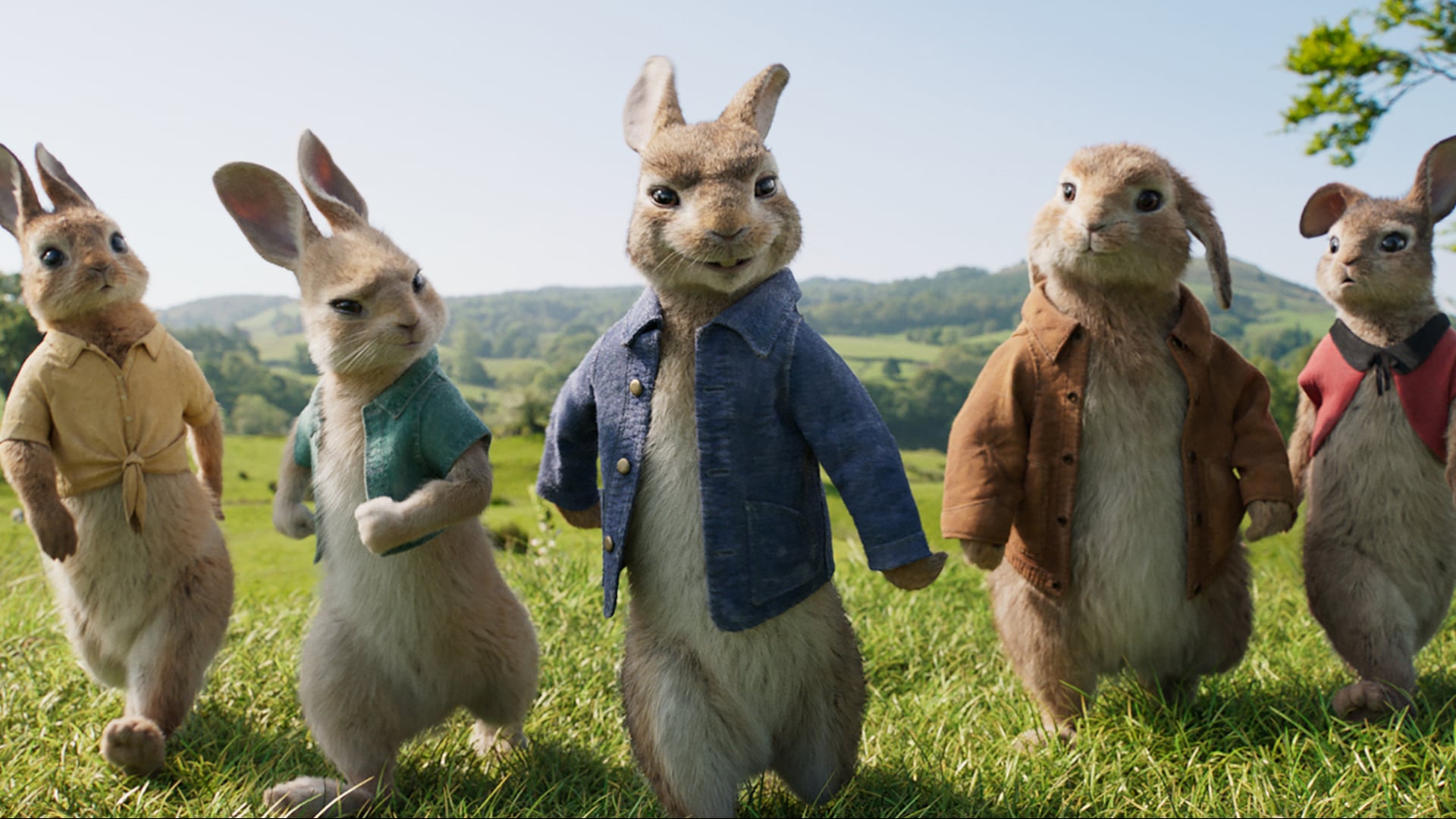 Peter Rabbit - TV15 'Showdown'
