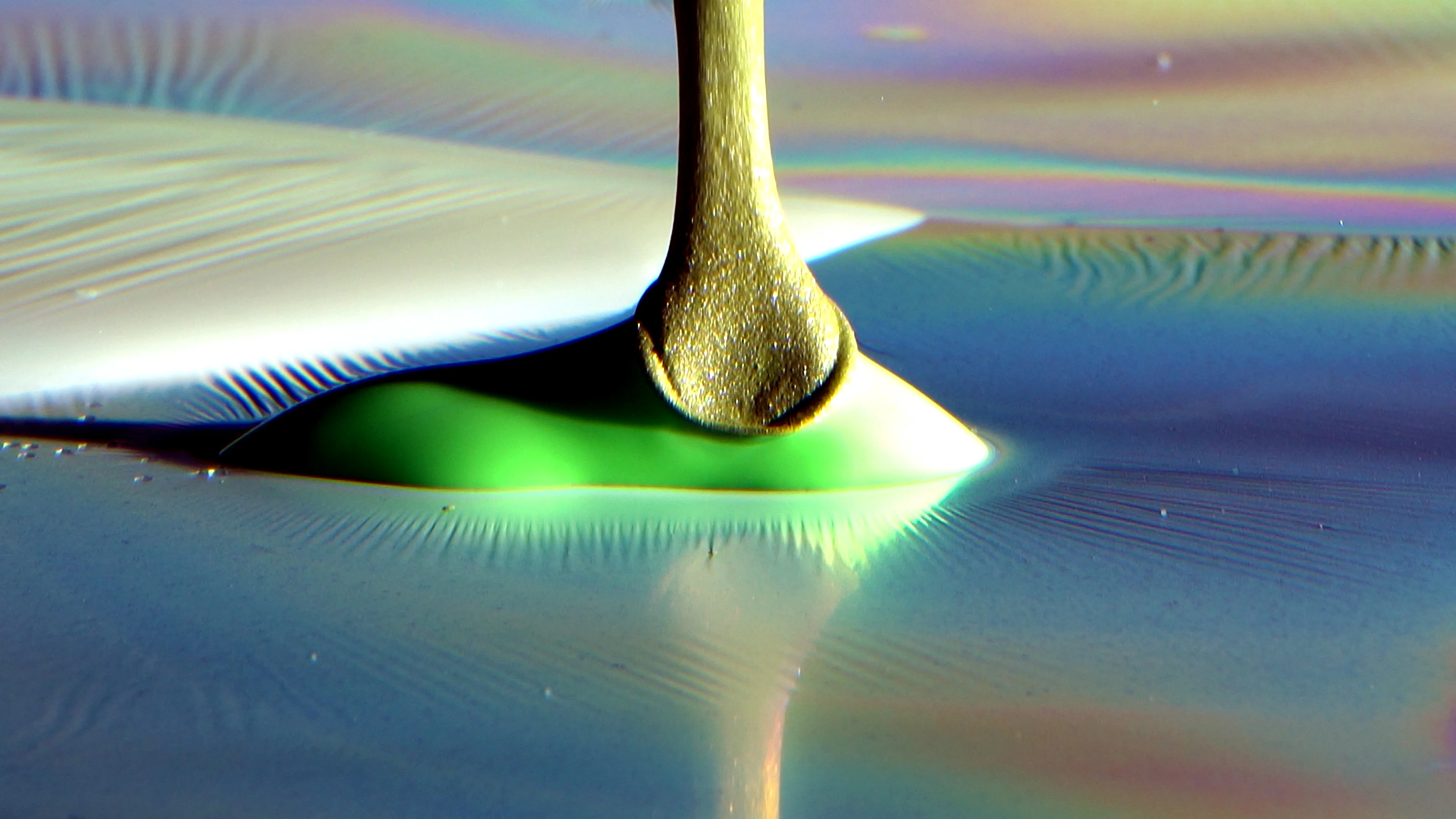 Waterballet - The golden shower resort  