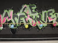 Stijn & Jowellino Alzheimer Nederland DanceWorkshop