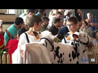 Terneras de 3 a 6 meses / manejadores de 11 a 13 años